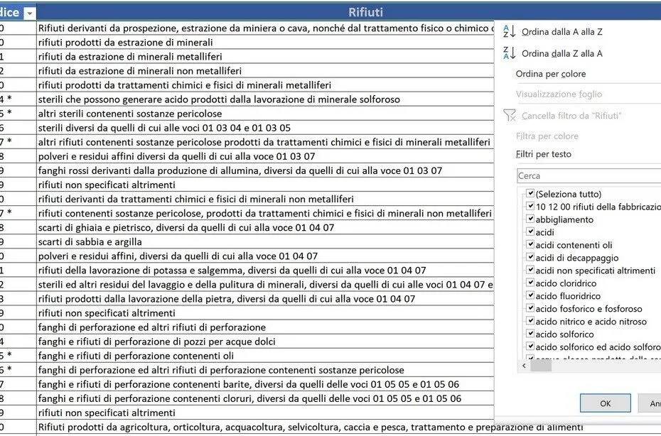 Elenco dei codici CER in un foglio di calcolo, con il menu dei filtri aperto per cercare un rifiuto per descrizione
