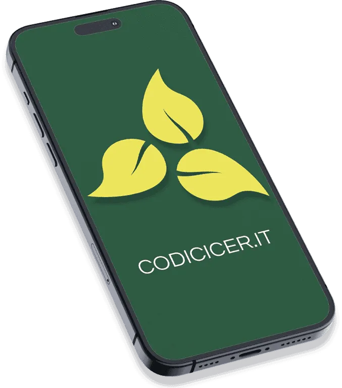 grafica di un cellulare con logo codici cer